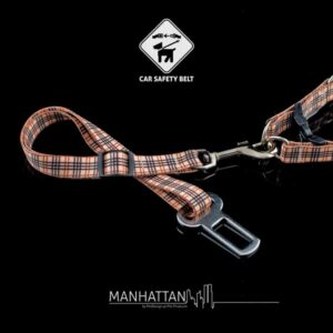 Manhattan safety belt